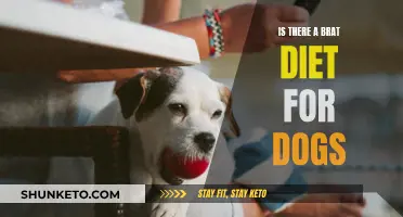 The BRAT Diet for Dogs: Is It Effective?