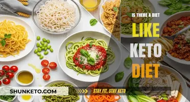 Exploring Low-Carb Diets: Alternatives to the Keto Diet Explained