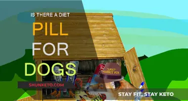 Dog Diet Pills: Safe or Not?
