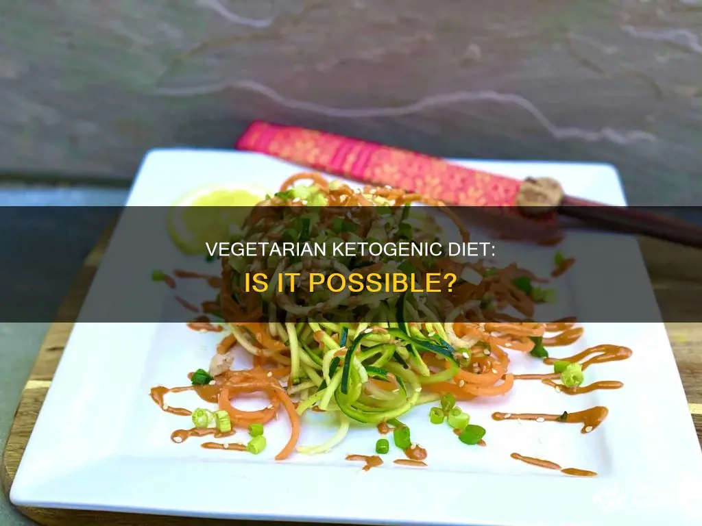 is there a ketogenic vegetarian diet