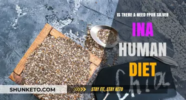 Silver's Dietary Role: Essential or Not?