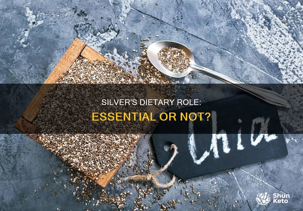 is there a need fpor silver ina human diet