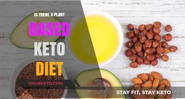 Exploring the Possibility of a Plant-Based Keto Diet Plan