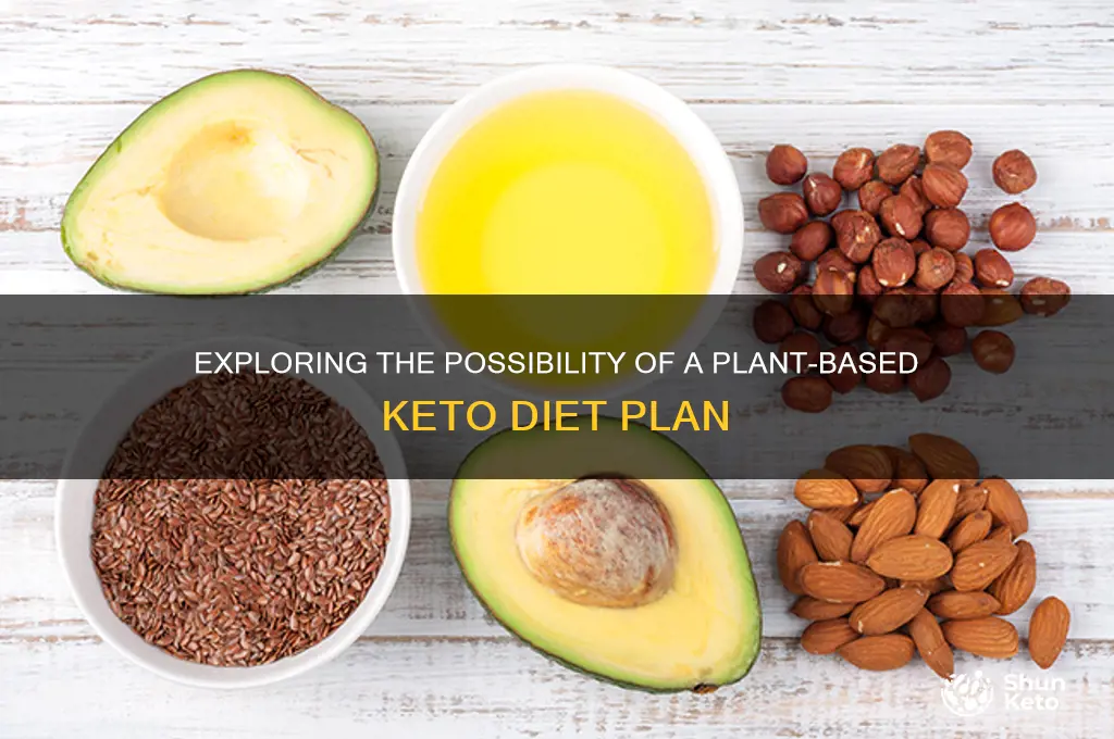 is there a plant based keto diet