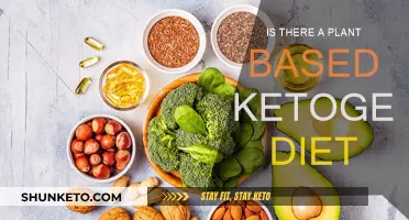 Plant-Based Keto: Is It Possible?