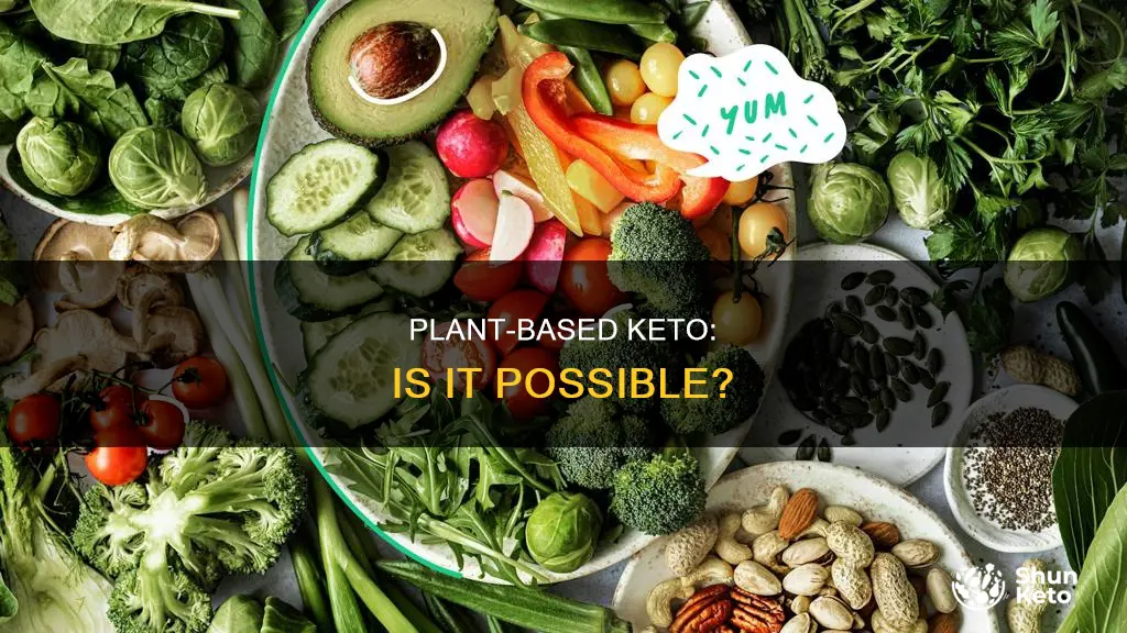 is there a plant based ketogenic diet