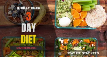 Vegetarian 3-Day Diet: Is It Possible and Healthy?