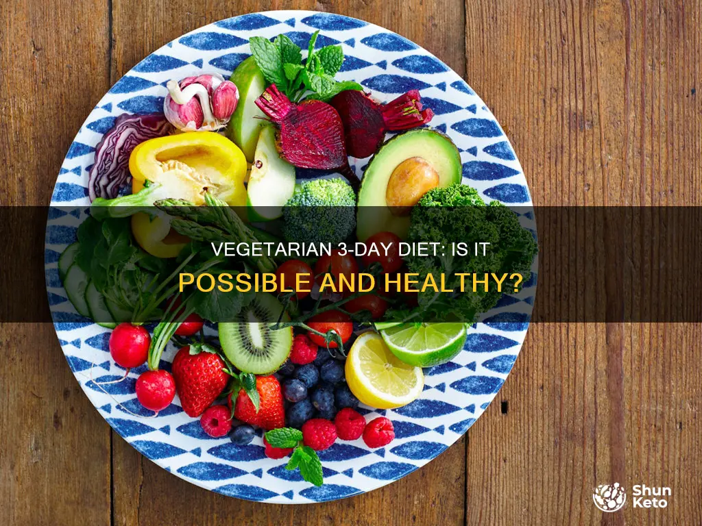 is there a vegetarian 3 day diet