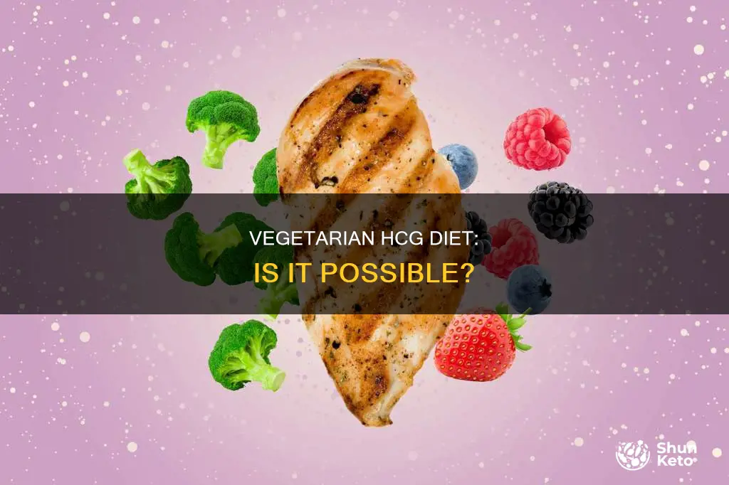 is there a vegetarian hcg diet