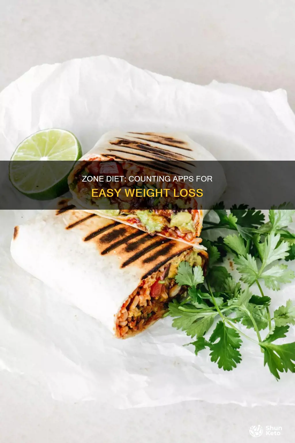 is there an app to help count zone diet