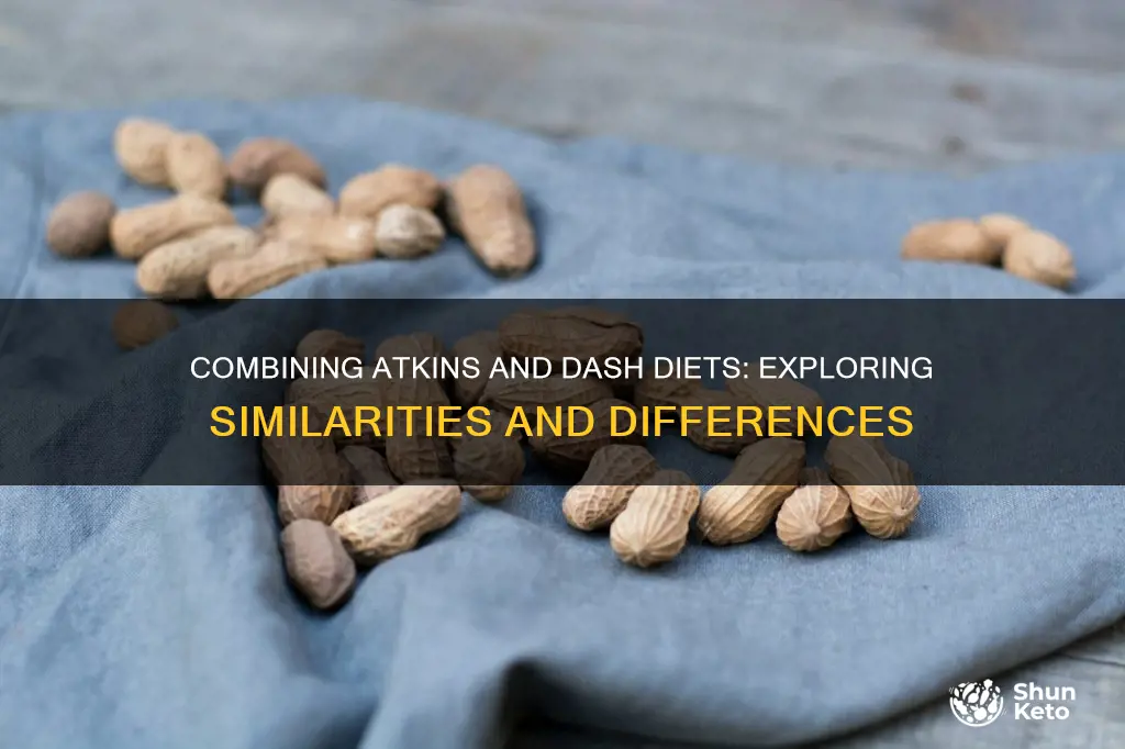 is there an atkins type dash diet