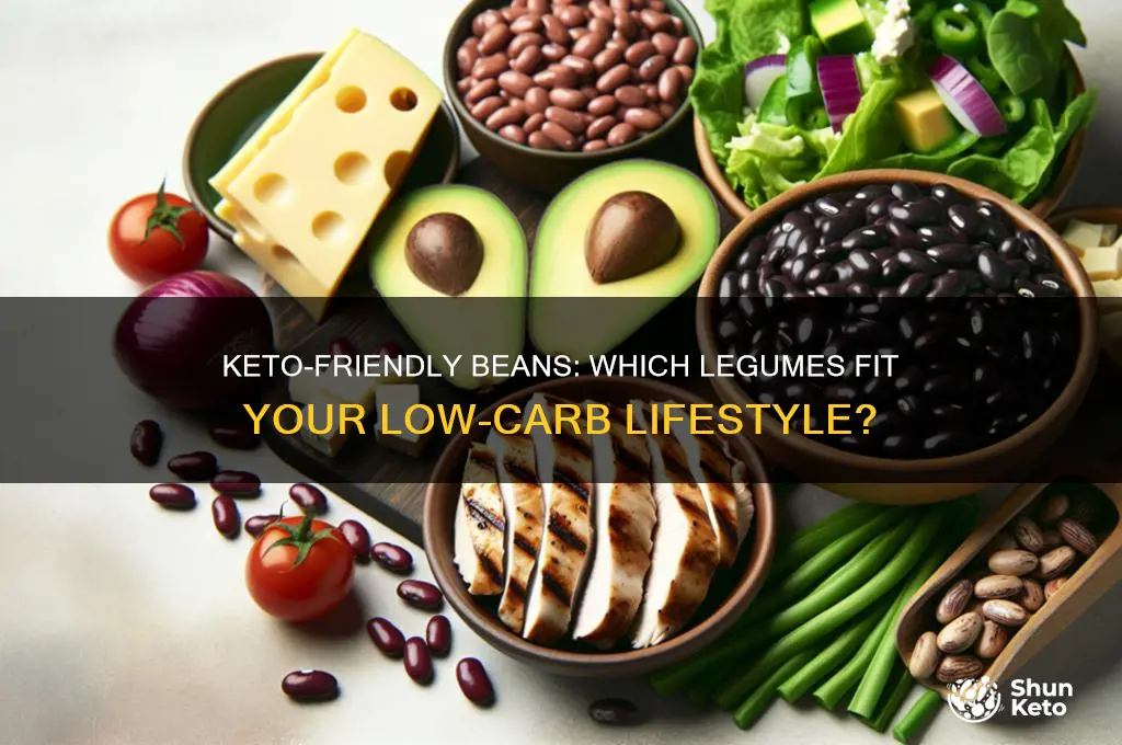 is there any beans i can have on keto