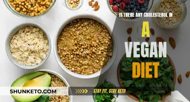 Vegan Diets: Cholesterol-Free and Healthy?