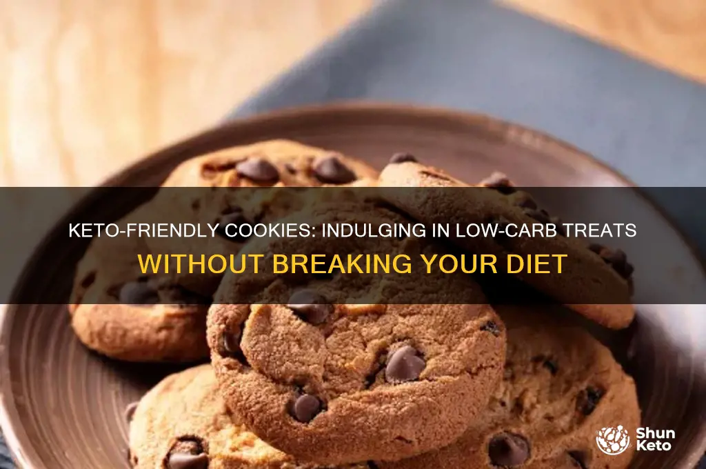 is there any cookied for keto diet