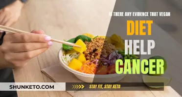 Vegan Diets: Cancer-Fighting Allies or Just Hype?