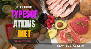 Atkins Diet: Exploring the Different Types and Variations