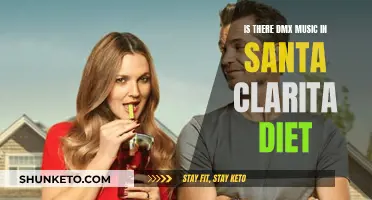 Santa Clarita Diet's Musical Choices: Exploring the Presence of DMX