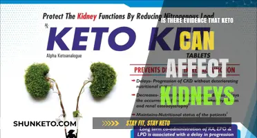 Keto and Kidney Health: Exploring the Evidence of Potential Impact