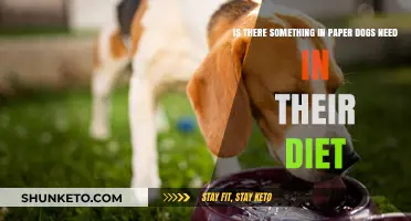 The Benefits of Paper for Dogs' Diets