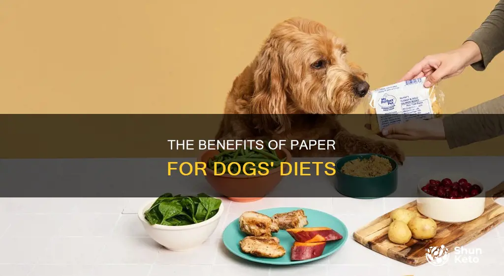 is there something in paper dogs need in their diet