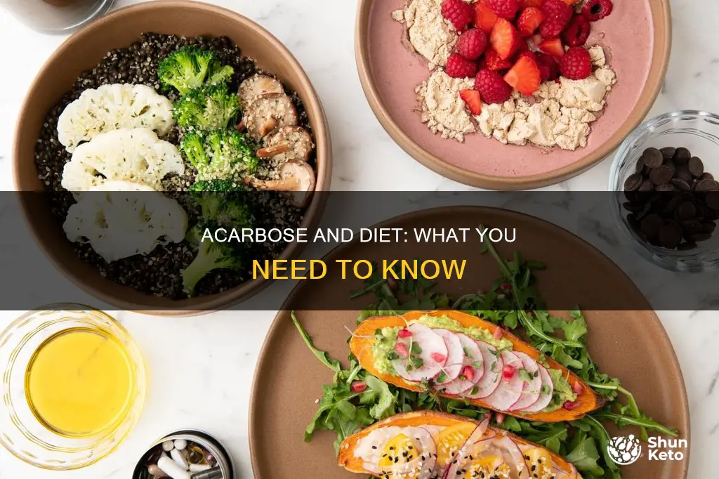 is they a diet to follow with acarbose
