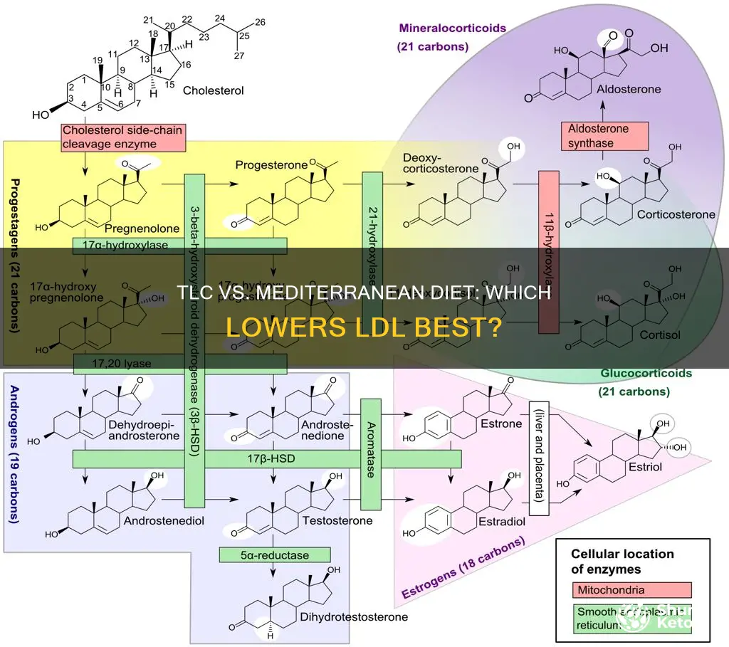 is tlc diet or mediterranean diet better for reducing ldl