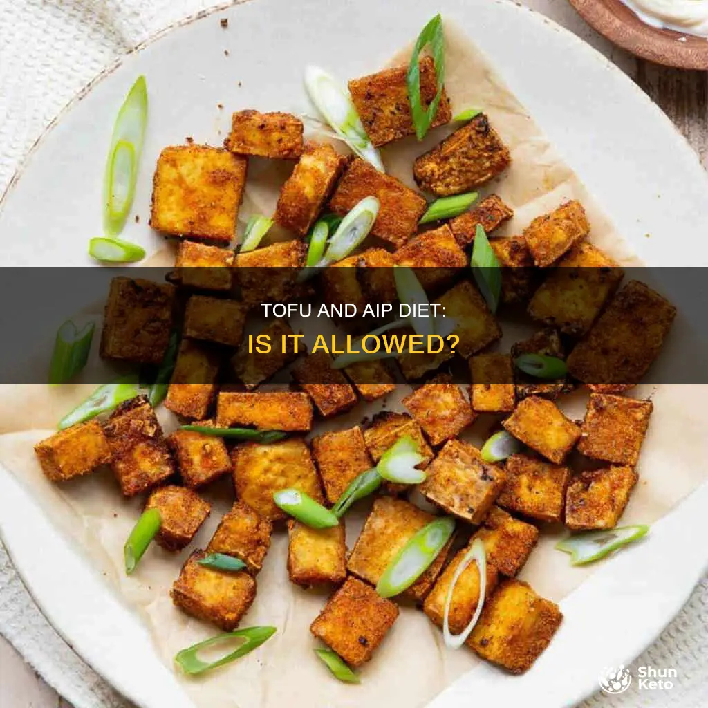 is tofu allowed on aip diet