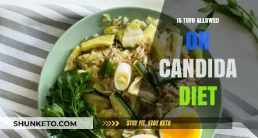 Tofu on Candida Diet: What You Need to Know