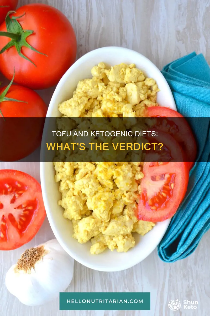 is tofu allowed on ketogenic diet
