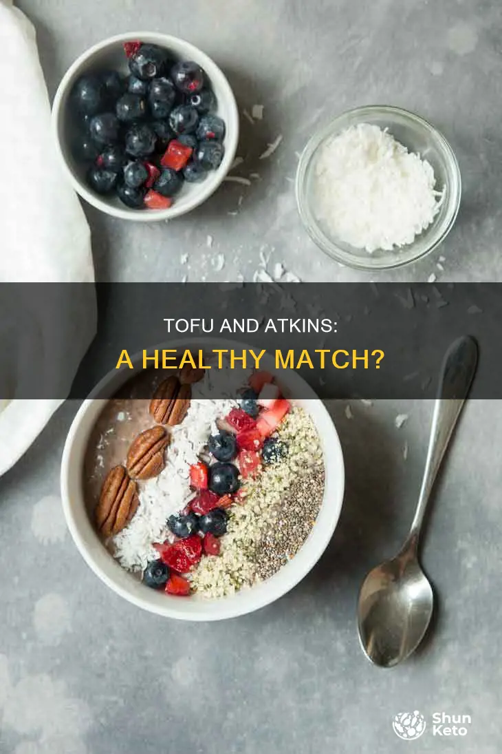 is tofu ok for atkins diet