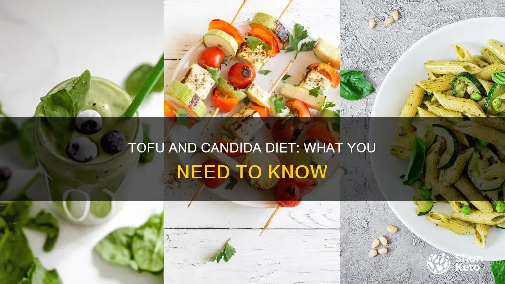 is tofu ok for candida diet