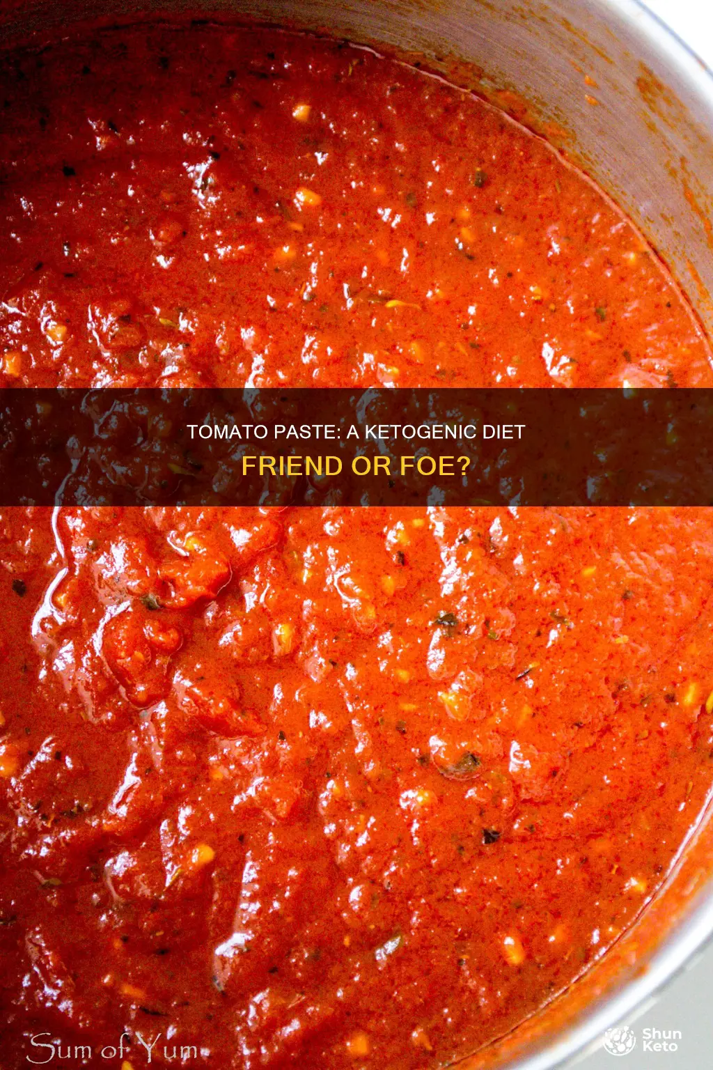 is tomato pste on ketogenic diet