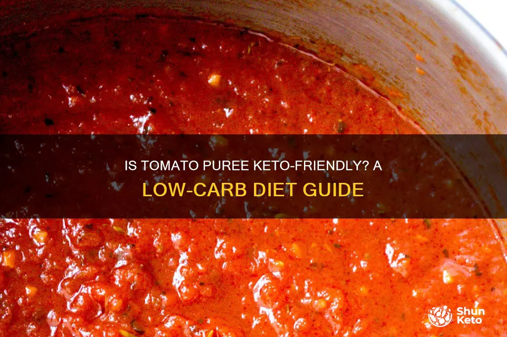 is tomato puree ok on keto diet
