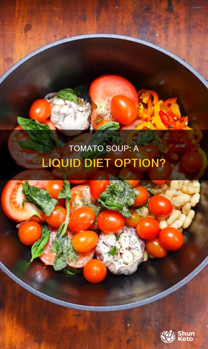 is tomato soup considered a liquid diet