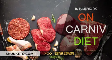 Turmeric in Carnivore Diet: Yay or Nay?