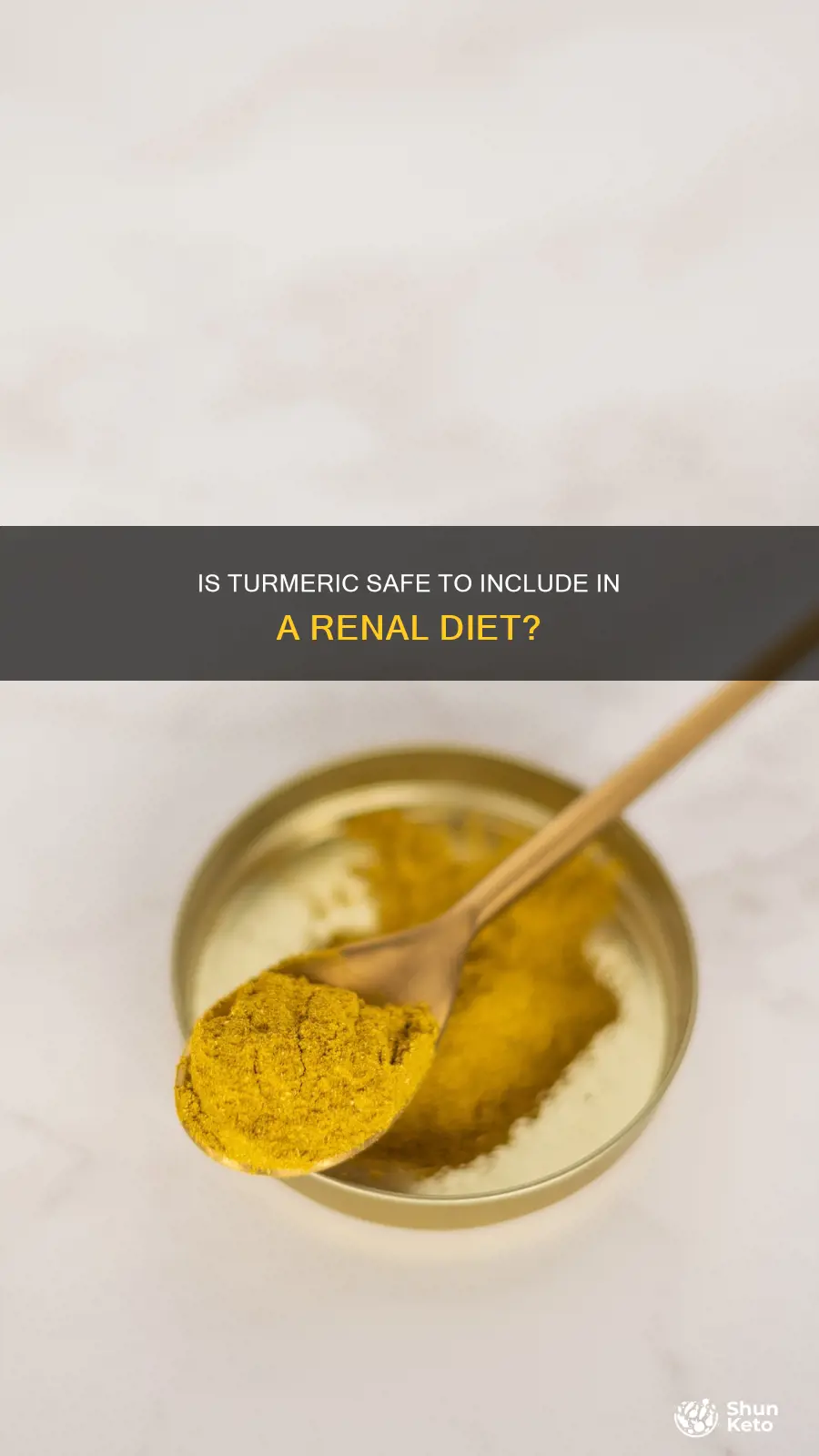 is tumeric safe for renal diet