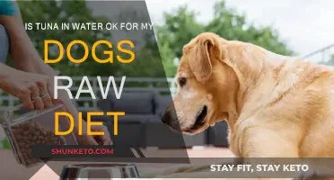 Tuna in Water: A Healthy Treat for Your Dog's Raw Diet?