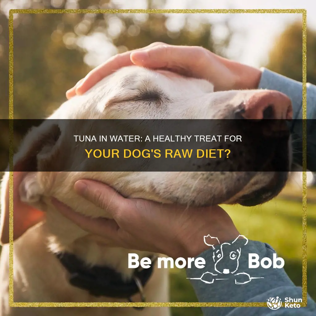 is tuna in water ok for my dogs raw diet