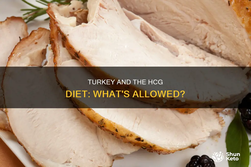 is turkey allowed on hcg diet