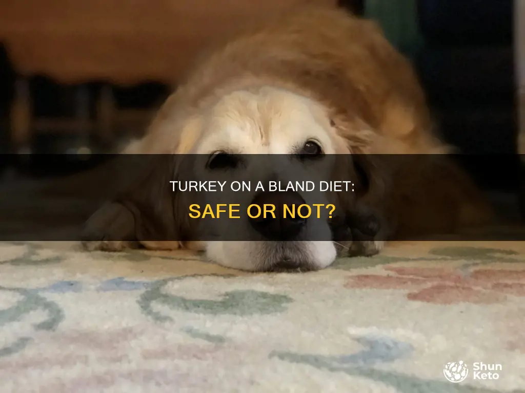 is turkey ok on a bland diet