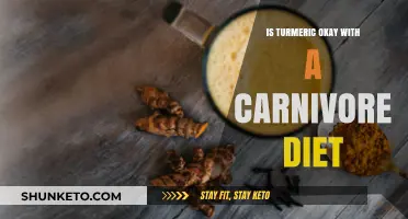 Turmeric in a Carnivore Diet: Friend or Foe?