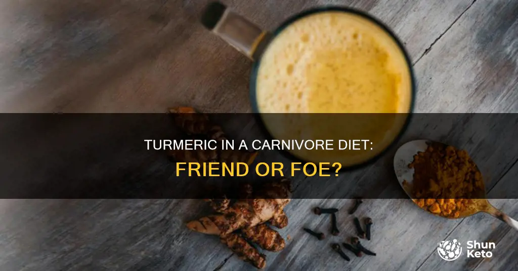 is turmeric okay with a carnivore diet