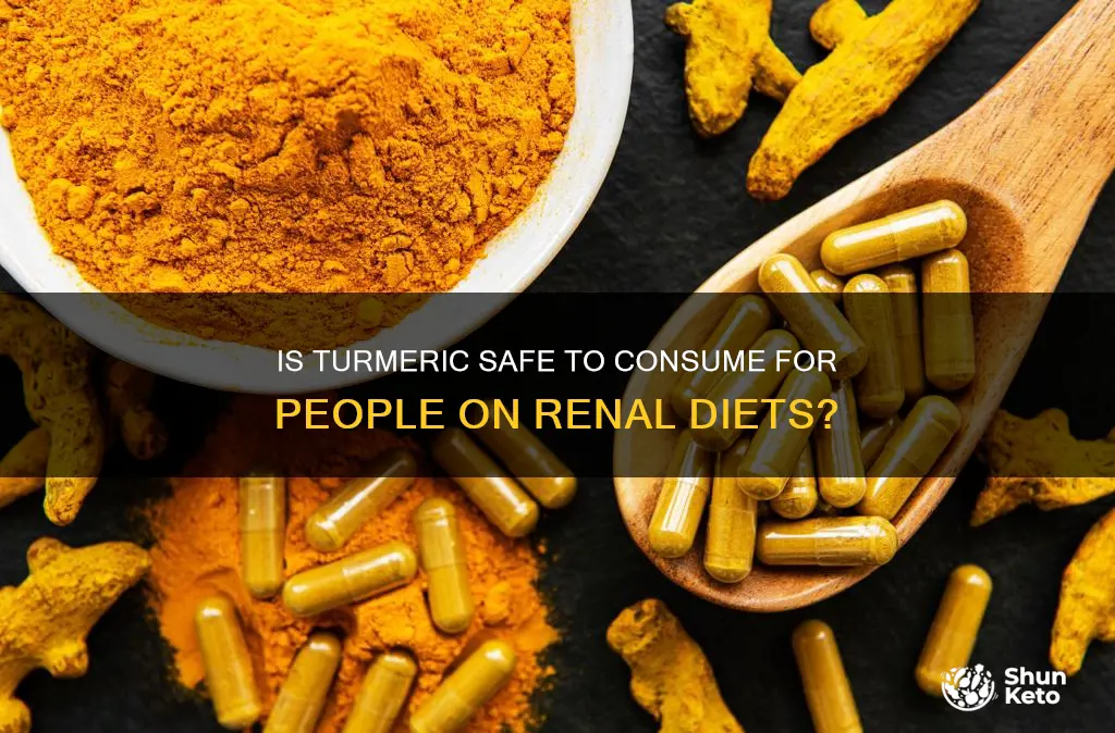 is turmeric safe for renal diet