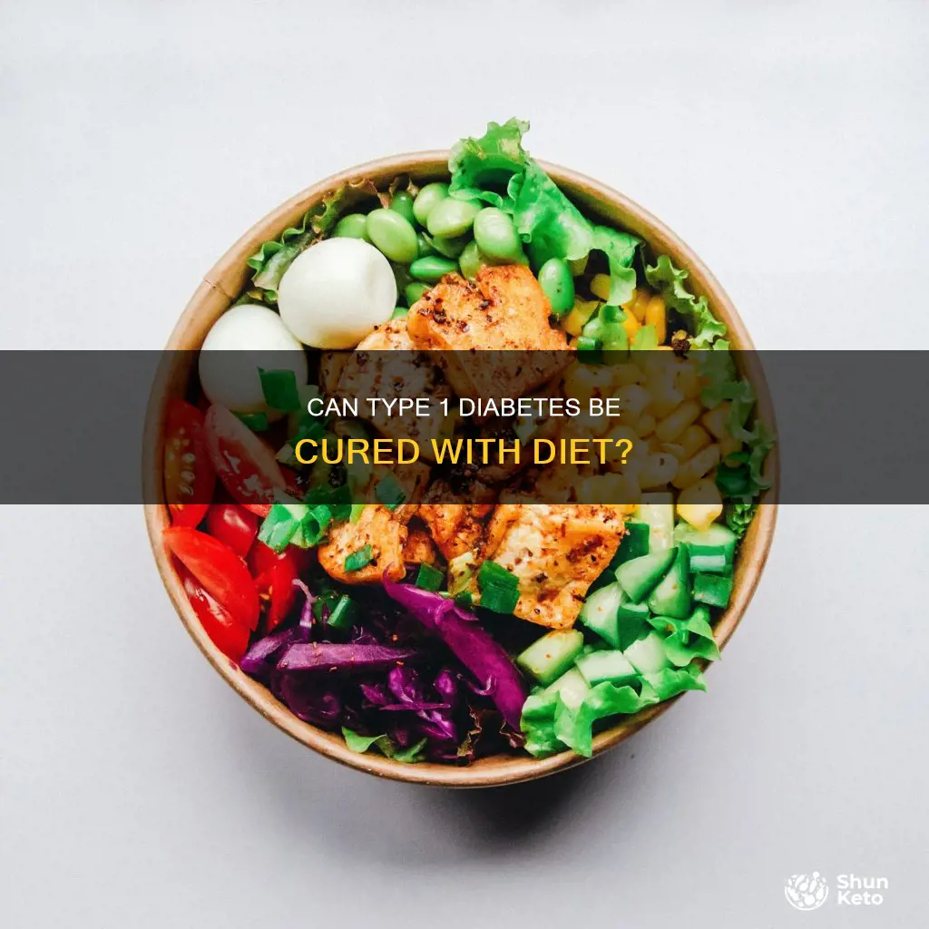is type 1 diabetes curable with diet
