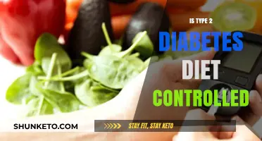 Diet Control: Managing Type 2 Diabetes