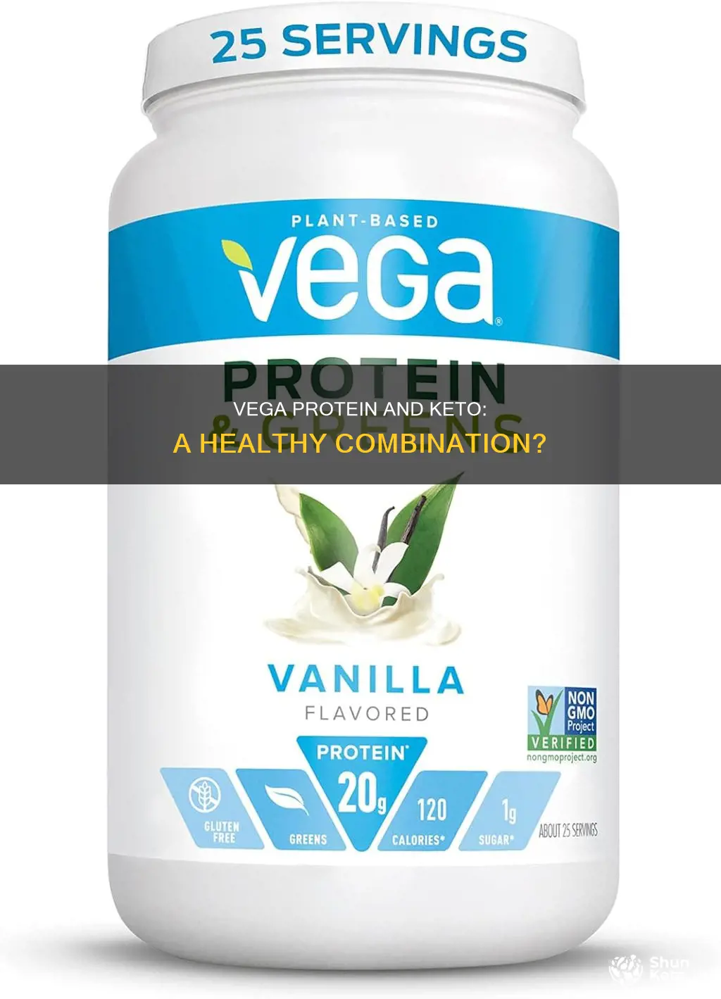 is vega protein keto