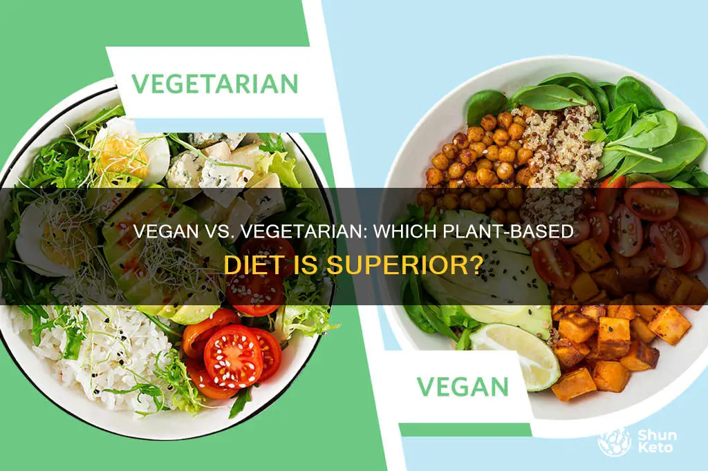 is vegan diet better than vegetarian