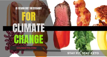 Vegan Diets: Essential for Slowing Climate Change?