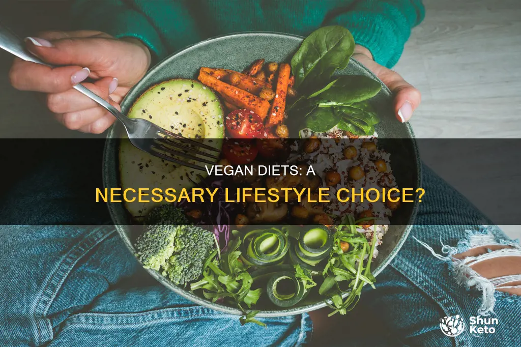 is vegan diet necessary