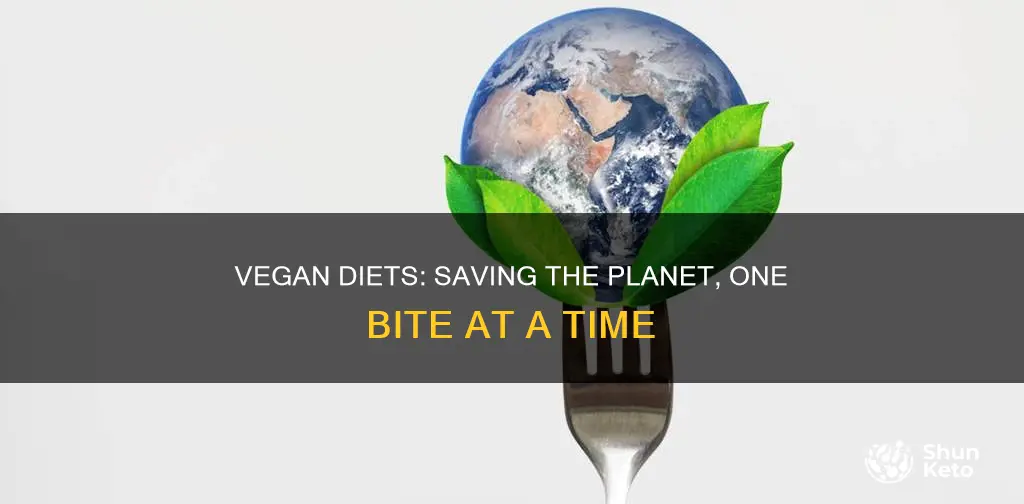 is vegan diet planet friendly